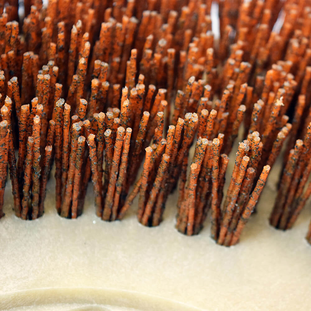 Mal-Grit Xtra™ Rotary Grit Brushes